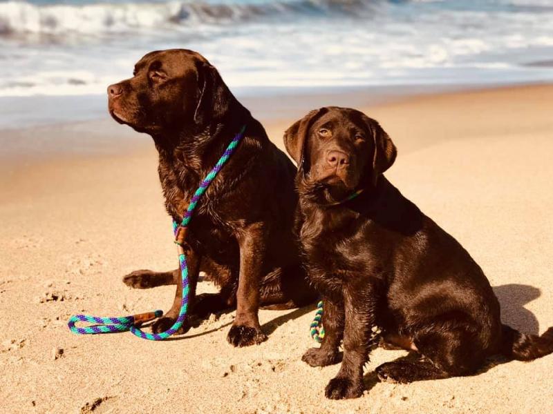 Ten and Hammer at the Coast